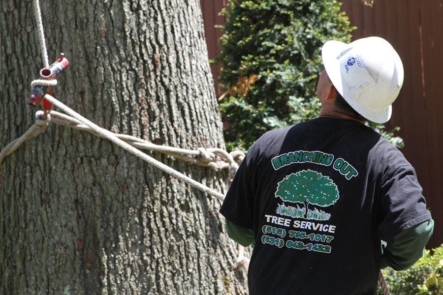 Tarzann Tree Service Inc. Image
